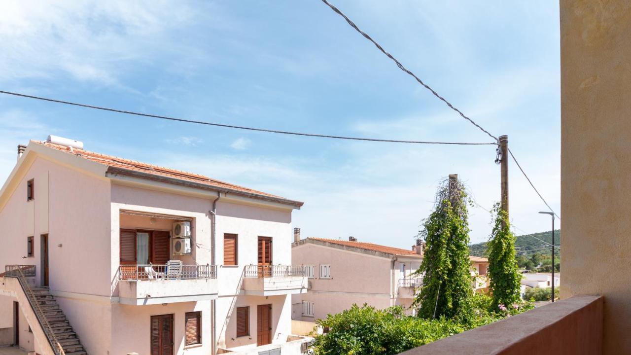 L'ulivo *